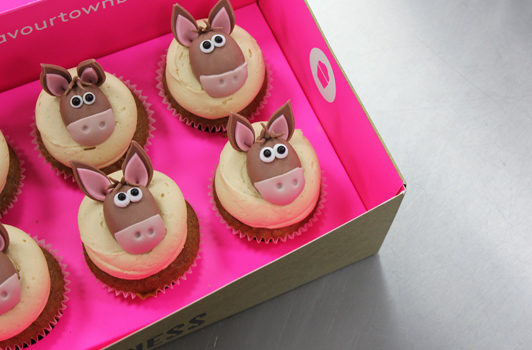 Bespoke Donkey Cupcakes